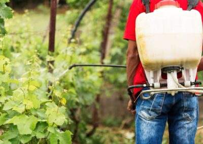 Formazione obbligatoria per utilizzatori professionali di prodotti fitosanitari