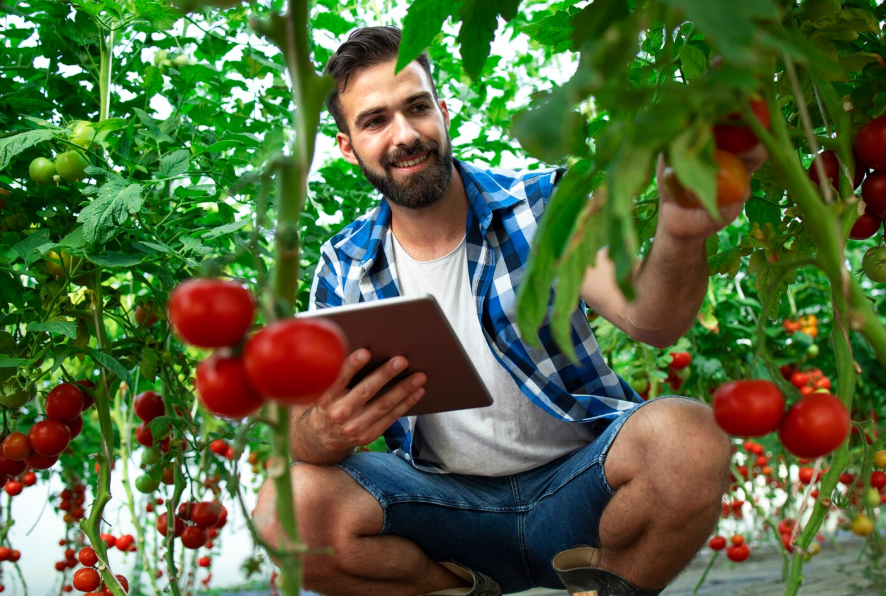 Imprenditore agricolo professionale (IAP)